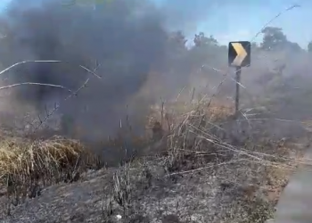 Moradores se unem para enfrentar incêndios às margens da BR-343 em Campo Maior